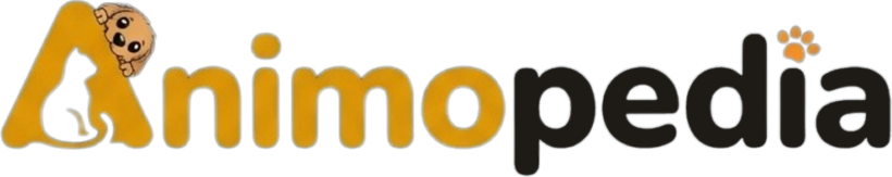 Animopedia